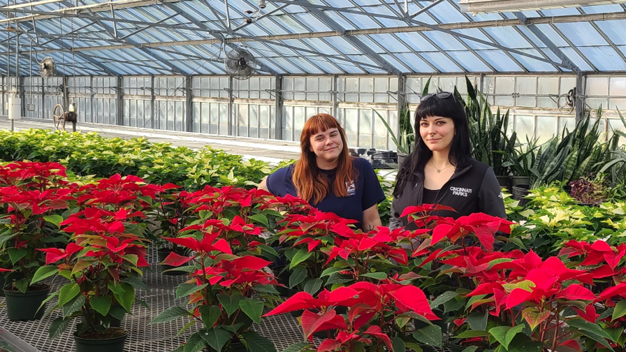 Krohn Conservatory, Warder Nursery