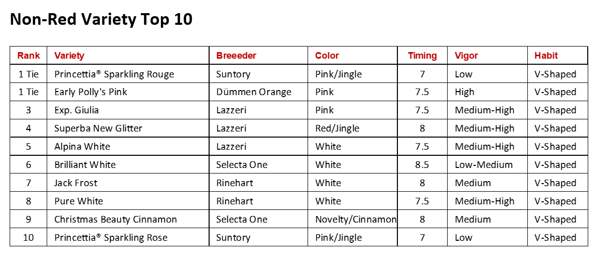 Plantpeddler Poinsettia Variety Day 2023 Non-Red Top 10