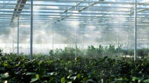 Learning Opportunity: Getting Started in Water Circularity