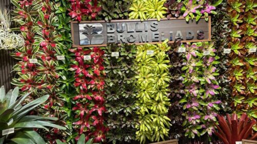 Garden Retailers Pick Their 15 Favorite Products From TPIE 2024