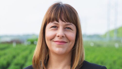 Proven Winners Adds New Retail Solutions Manager