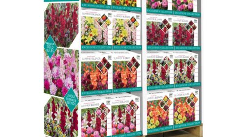 Proven Winners, Garden State Bulb Company to Partner on Premium Bulb Programs