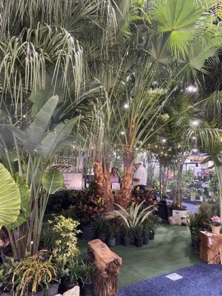 S&S Tree Farm
