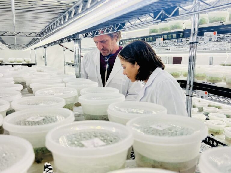 Plant Breeding Breakthroughs on the Horizon for 2024