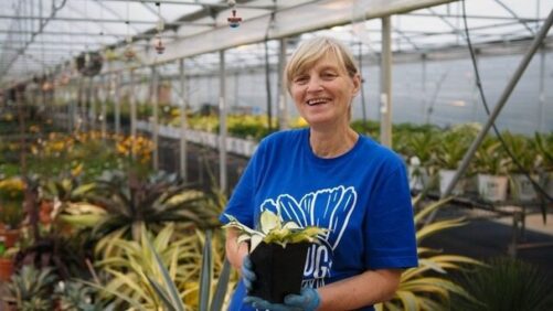 Meet Walters Gardens’ Grower and Ukranian Refugee Kira Malinina