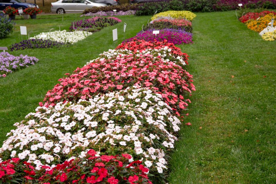 Ohio State University 2023 Trial Garden