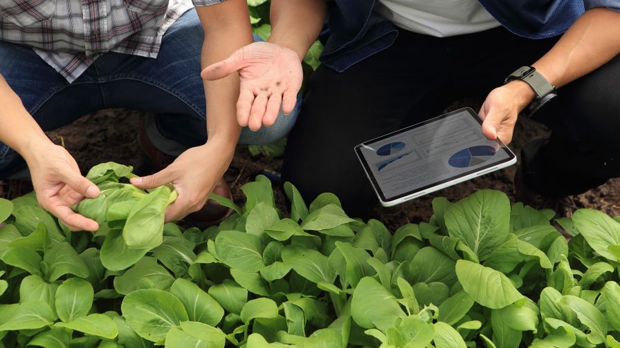 Velosio Realities of ERP Implementation