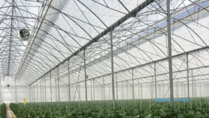 Biorete Air Plus Protective Screens