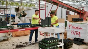 An Insider Update on Greenhouse Labor and the H-2A Program