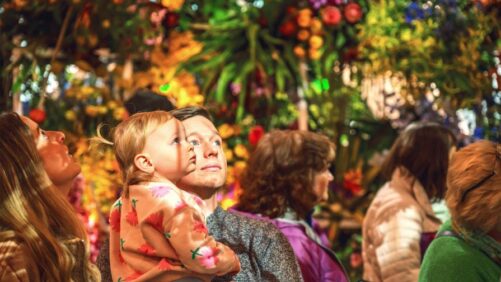 11 Can’t-Miss Activities at the 2024 Philadelphia Flower Show