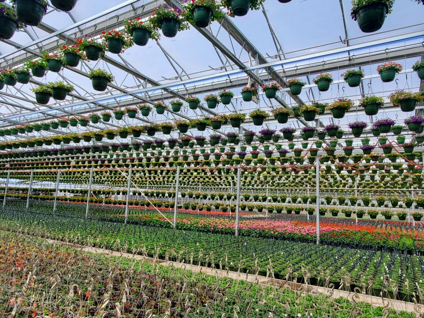 Plantpeddler Early Spring 2022