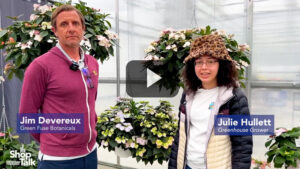 Why This Hydrangea From Green Fuse Botanicals Is a Gamechanger (Video)
