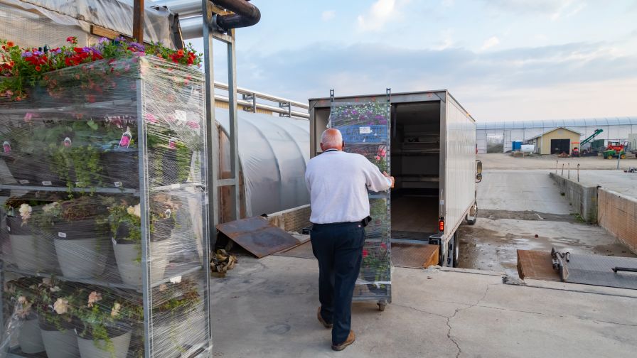 Hortica commercial auto insurance for greenhouse and floriculture businesses, loading a delivery truck with plants.