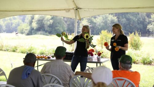 New Tools Help Cut Flower Growers Make Smart Financial Decisions