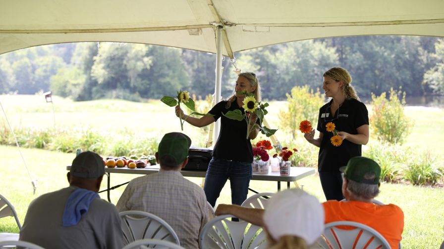 University of Tennessee Cut Flower Growers