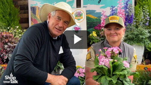 Revisiting CAST 2024: Videos on Pacific Plug and Liner, Syngenta Flowers, and Westhoff Varieties