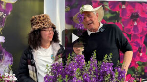 Revisiting CAST 2024: Videos on Ball FloraPlant, Dümmen Orange, and PDSI Varieties