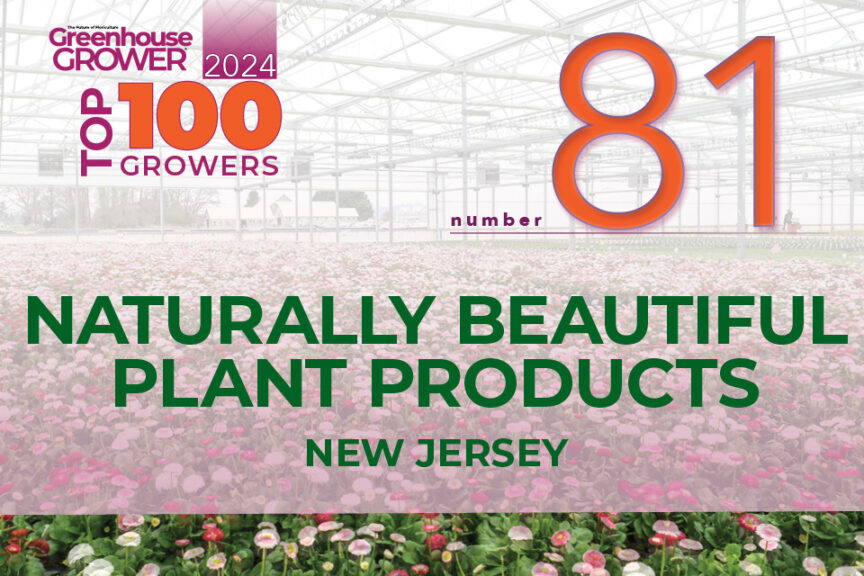 #81: Naturally Beautiful Plant Products