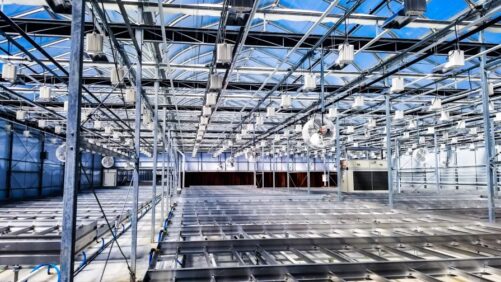 5 Ways to Optimize Your Greenhouse Irrigation System