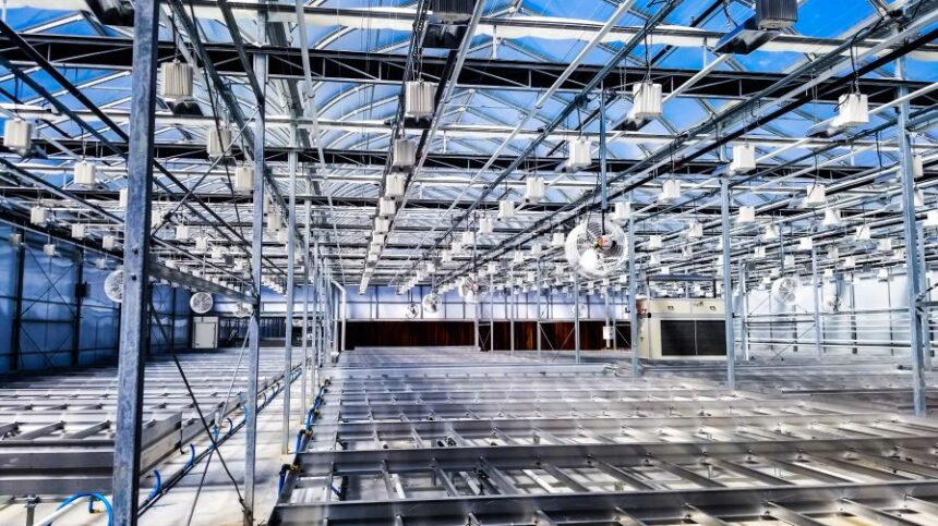 5 Ways to Optimize Your Greenhouse Irrigation System