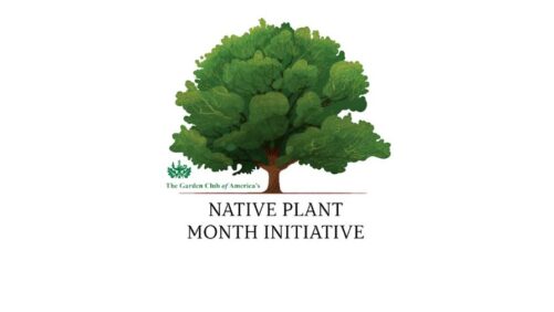 April as Native Plant Month Gains Ground in All 50 States