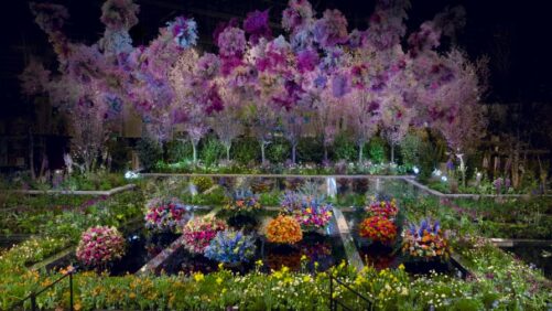 The Top Horticulture Trends Emerging from the 2024 Philadelphia Flower Show