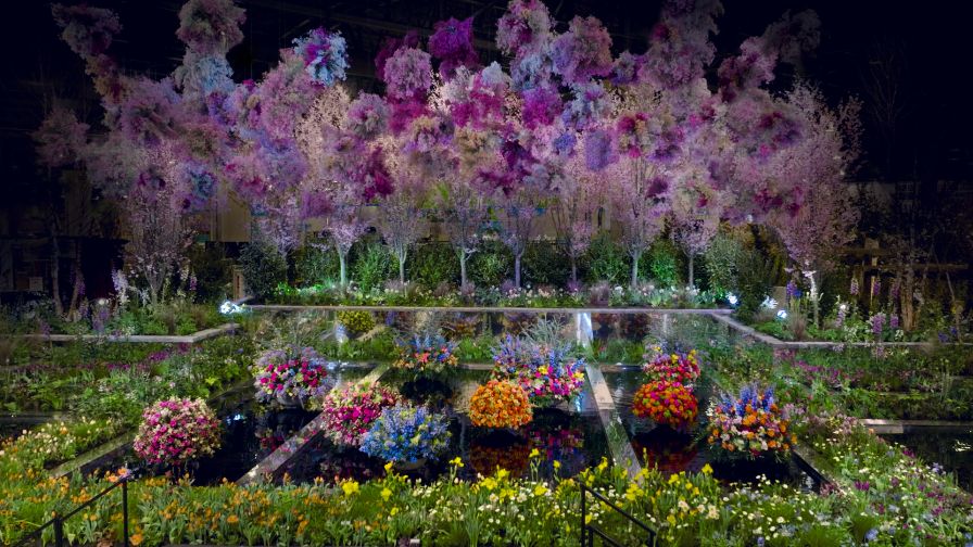 Pennsylvania Horticultural Society entrance garden 'Edges and Reflections'