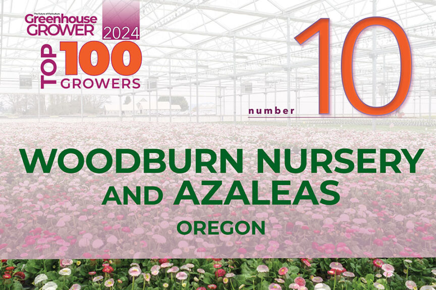 #10: Woodburn Nursery and Azaleas