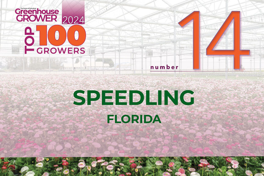 #14: Speedling