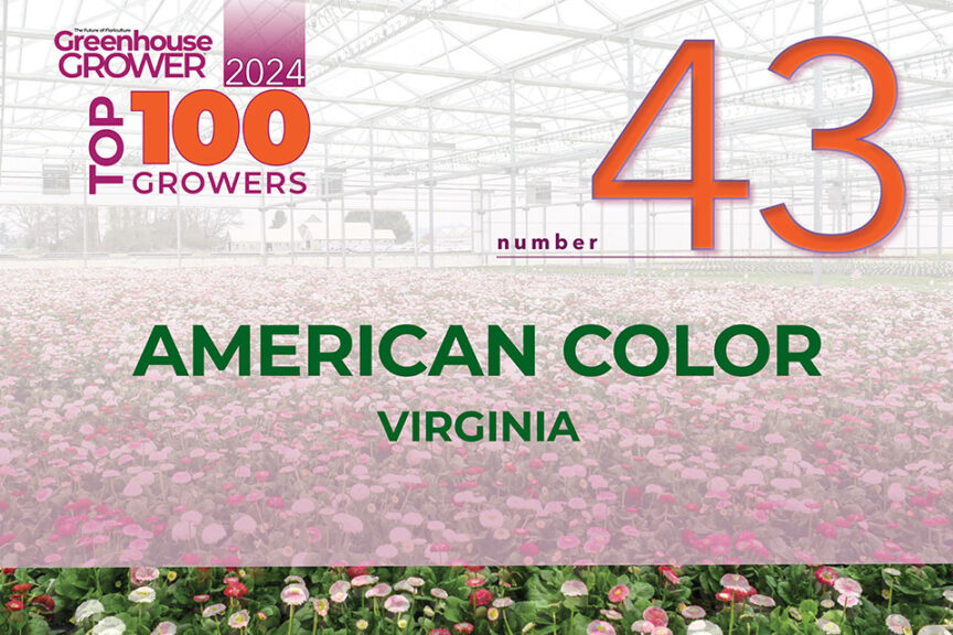 #43: American Color