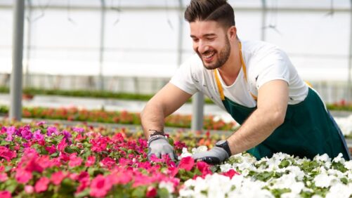 Announcing the 2nd Annual State of Succession and Exit Planning in the Horticulture Industry Survey