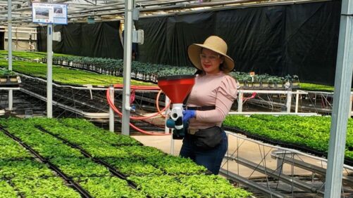 MPS Certification Benchmarks Give Growers the Tools to Improve