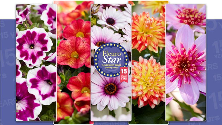 FleuroStar awards from Flueroselect banner