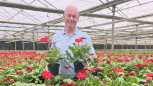 Schoneveld Breeding Presents ‘Joybera’: A New Standard in Gerbera