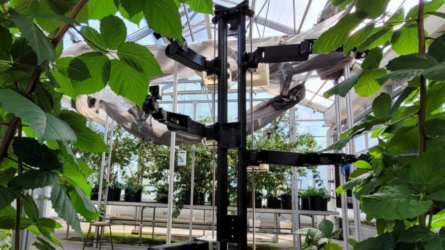 Stickbug, the autonomous pollination robot for bramble flowers in greenhouses