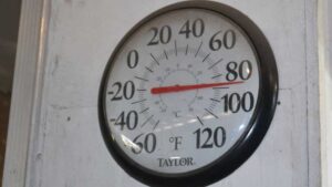 What Are the Chances That 2025 Will Be Another Record-Warm Year?