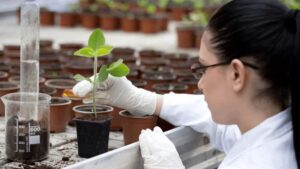 What To Expect At 2024 GreenTech Amsterdam