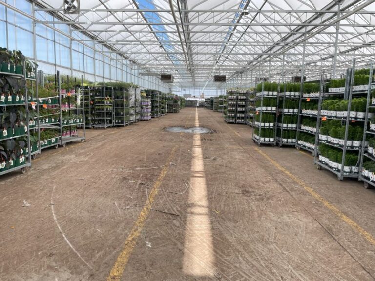 Corsos Supermarket Set Up