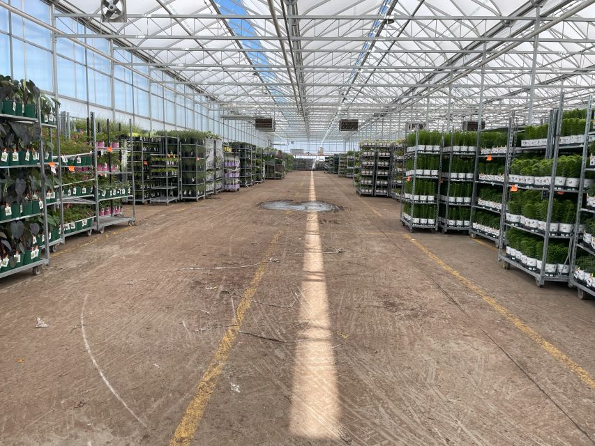 Corsos Supermarket Set Up