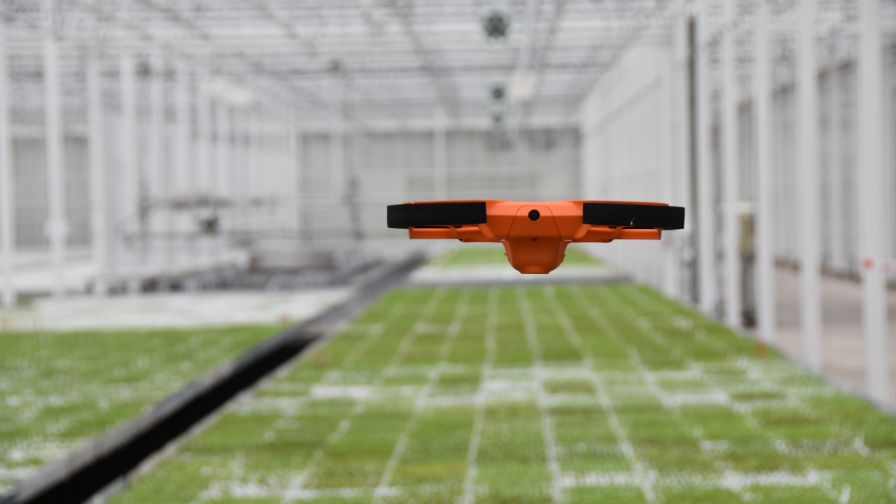 Corvus Drones