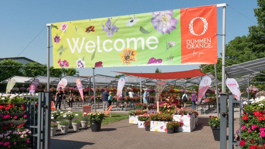 Dümmen Orange Flower Trials 2023 in Rheinberg, Germany