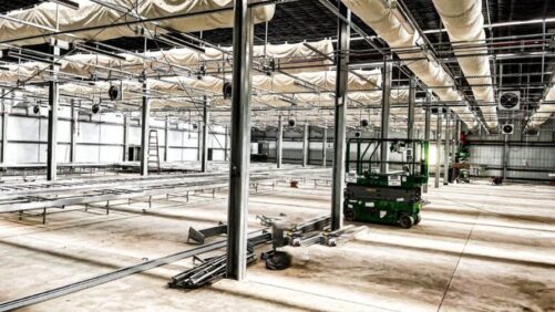 5 Tips for Optimizing Greenhouse Benching Design