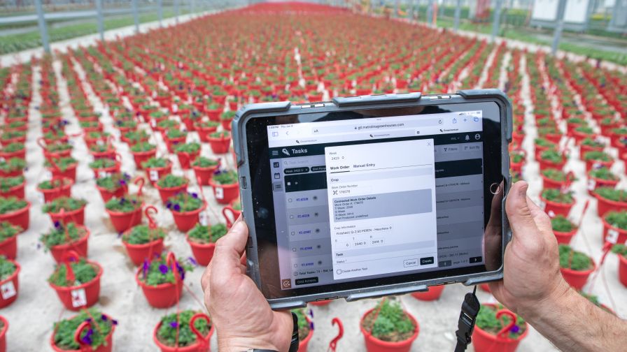 Feedback and data entry using Growmentum greenhouse software on-site.