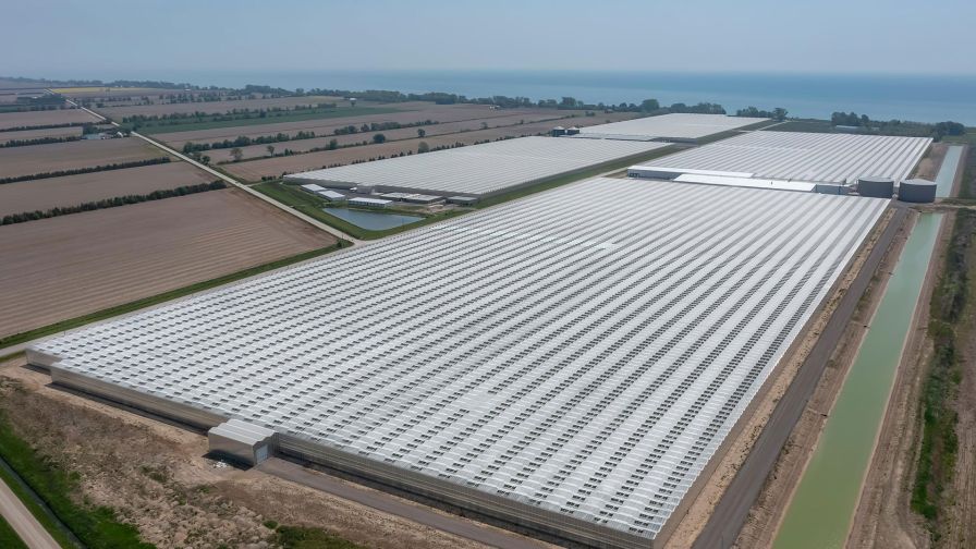 Header image from the Mucci Farms acquires Hacienda North Farms press release