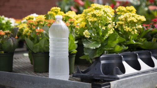 Know the Signs of Heat Stress and How to Protect Your Employees