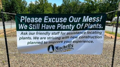 Mitchell’s Nursery Expands with New Greenhouse Construction