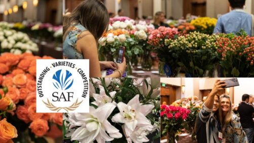 SAF Invites Breeders and Growers to Enter the 2024 Outstanding Varieties Competition