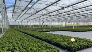 Atlas Greenhouse’s Acquisition of Stuppy Greenhouse Brings Together Two Leading Manufacturers