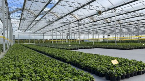 Atlas Greenhouse’s Acquisition of Stuppy Greenhouse Brings Together Two Leading Manufacturers