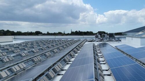How Being Sustainable Benefits the Environment and Your Bottom Line